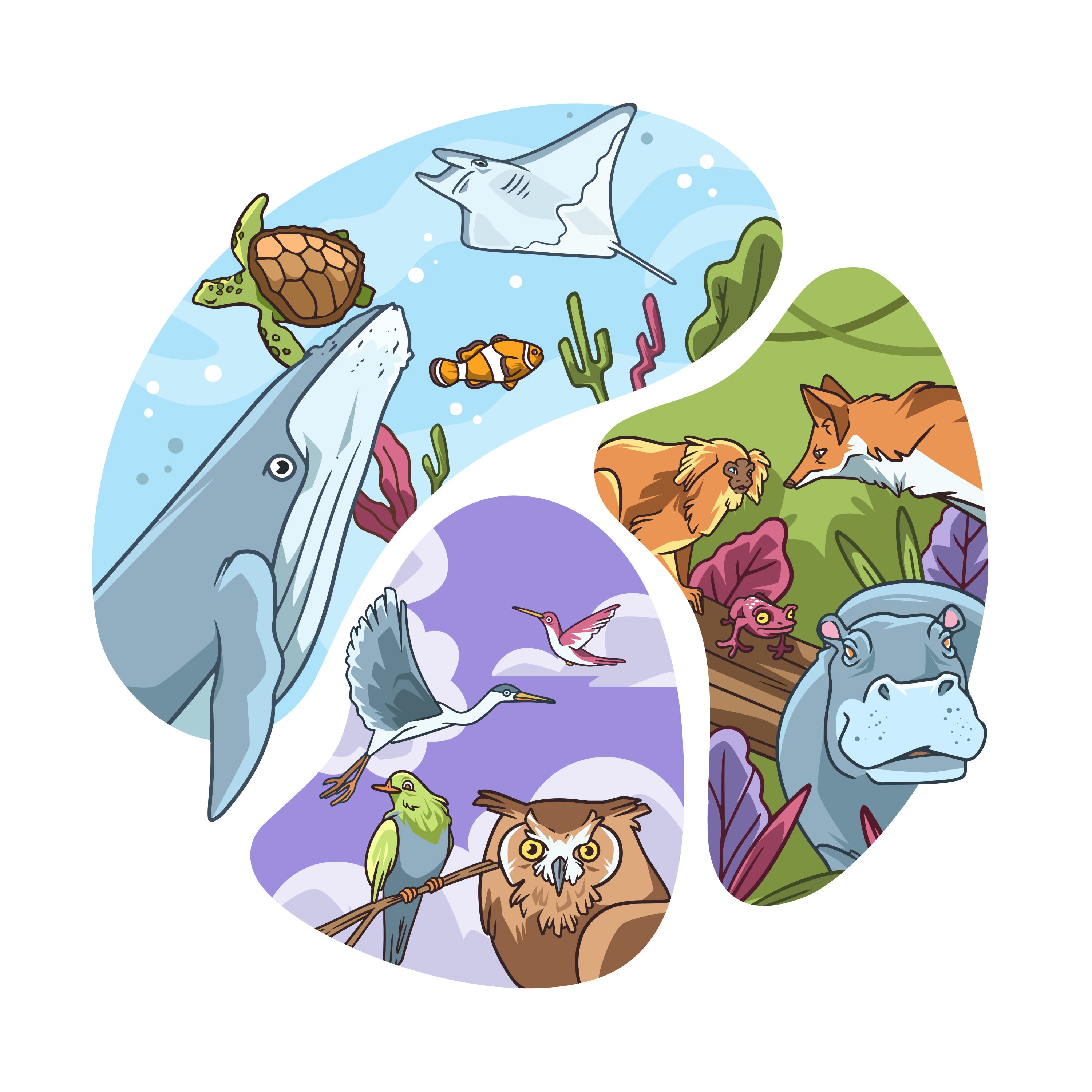 Atelier Mon écosystème et moi